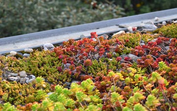 the cost of California green roof installation