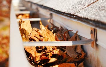 California gutter cleaning companies